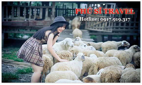 Tour Du Lịch Biển Lagi